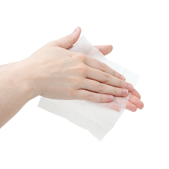 BZK Antiseptic Towelettes Size 5” x 7”