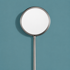 Front Surface Mirror Stainless Steel #5 Bx/12