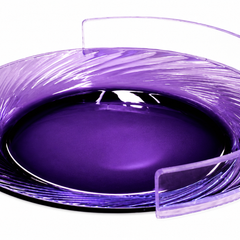 Plate Guard Clear Large