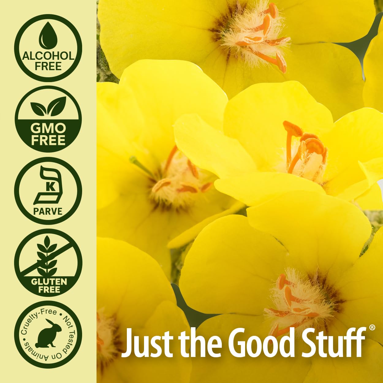 natures answer mullein leaf alcohol free 1 fl oz