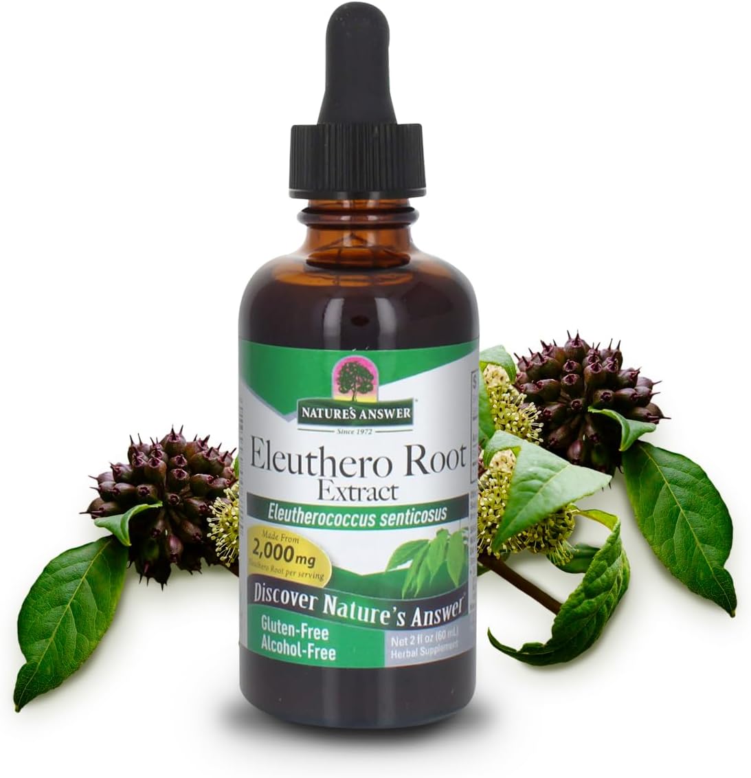 Nature's Answer   Eleuthero Root Alcohol Free
