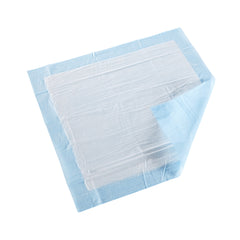 Disposable Underpad McKesson Classic Plus 23 X 24 Inch Fluff / Polymer Light Absorbency | 8BG/Case