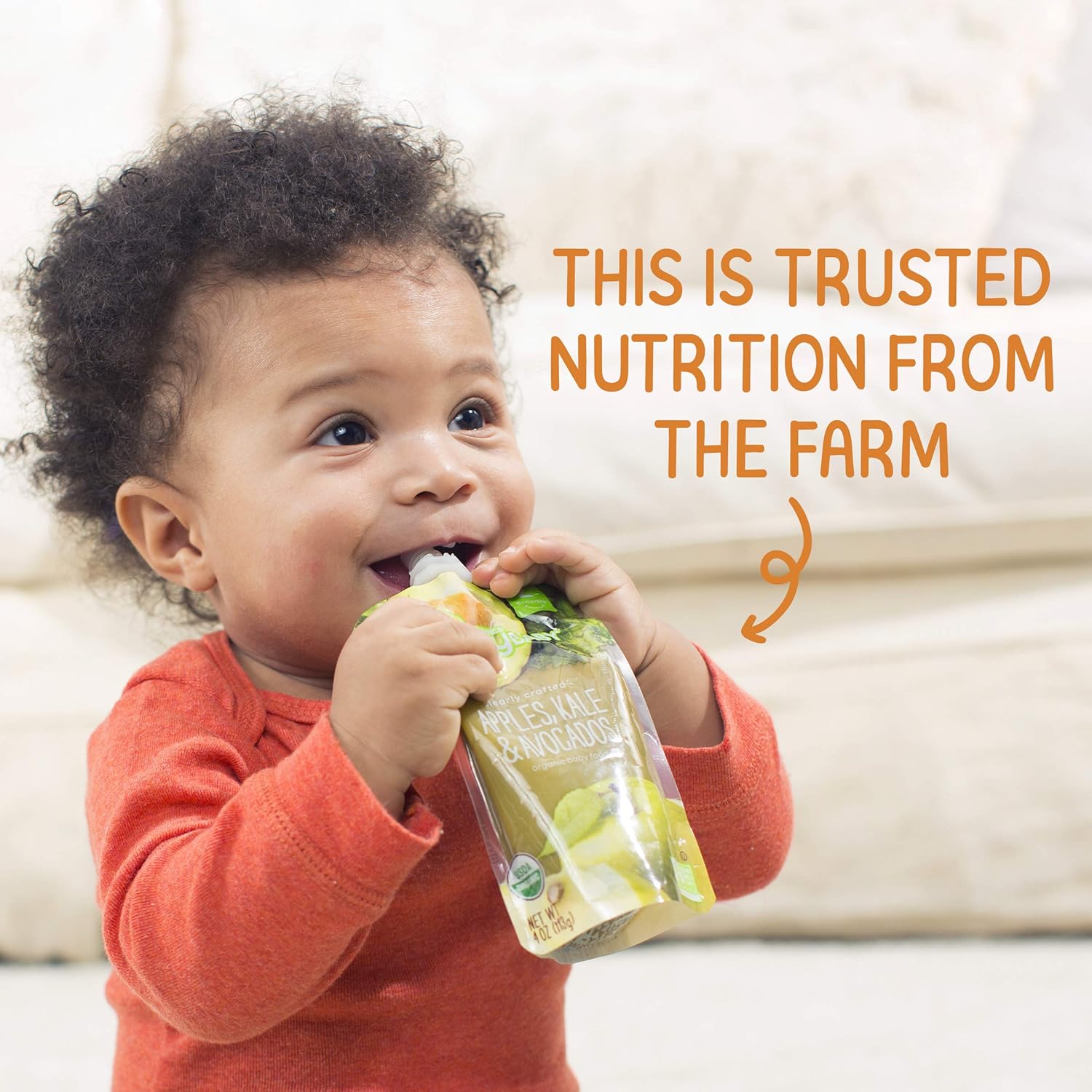 happy baby happy baby clearly crafted bananas raspberries and oats case of 16 4 oz