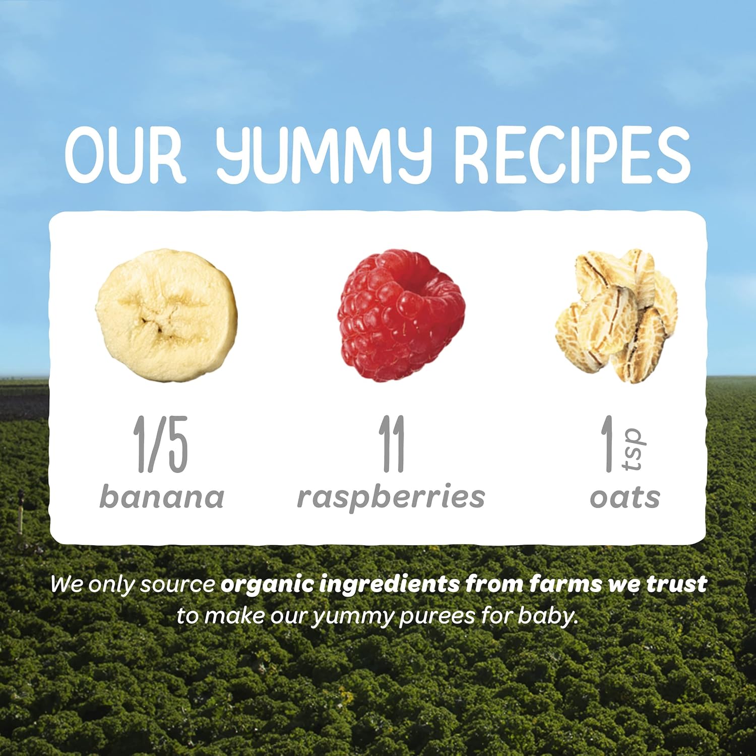 happy baby happy baby clearly crafted bananas raspberries and oats case of 16 4 oz