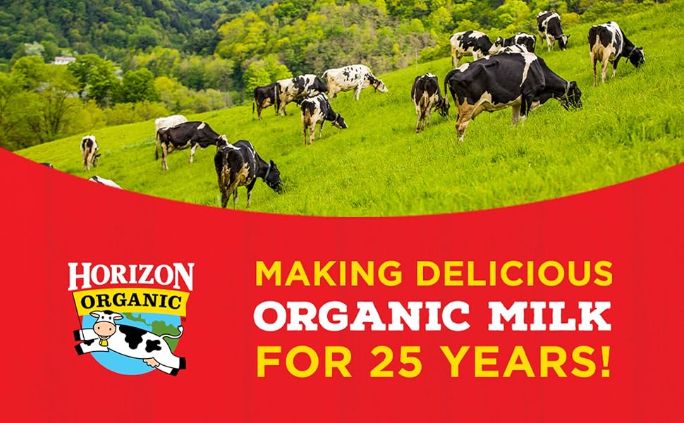 horizon organic dairy low fat milk strawberry case of 3 8 fl oz