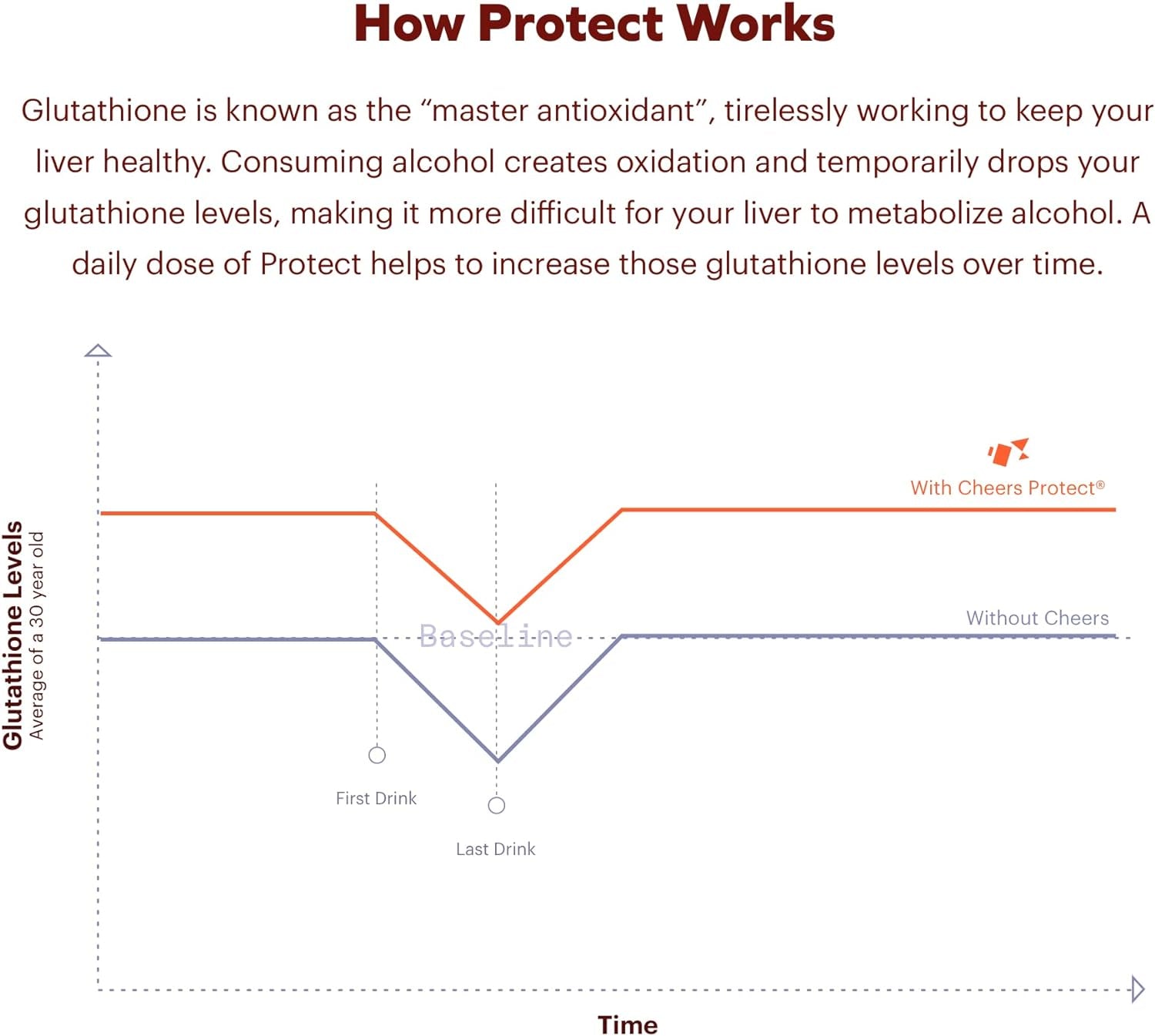 Liver Combo | Restore + Protect | Support Your Liver & Feel Better after Drinking | DHM, L Cysteine, Milk Thistle, Prickly Pear, B Vitamins | 36 Doses Restore, 90 Doses Protect | Supplements