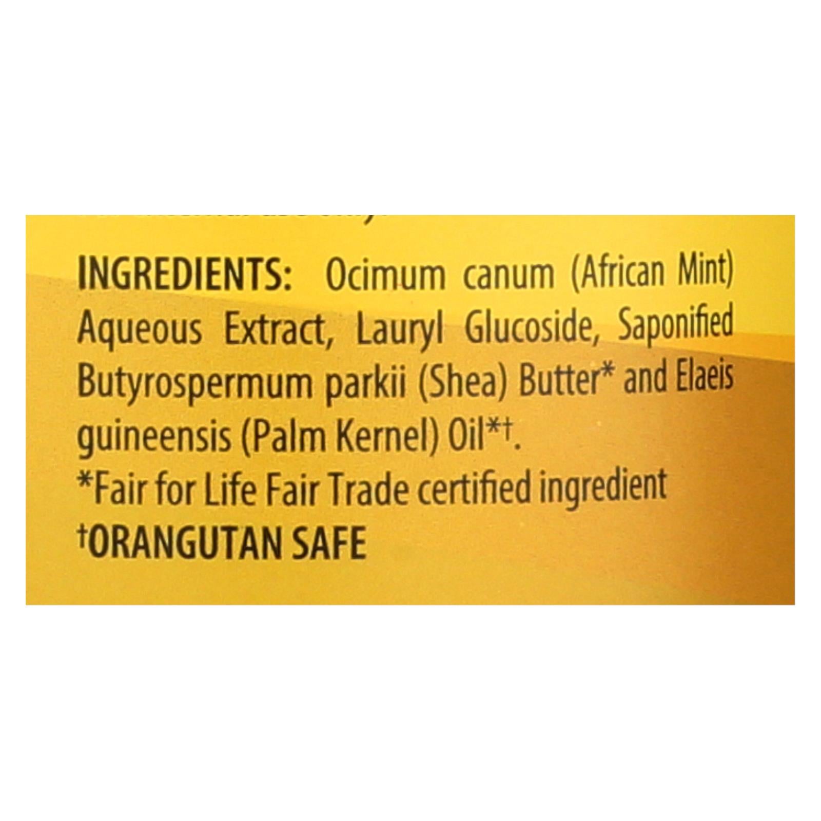 alaffia african black soap unscented 32 fl oz