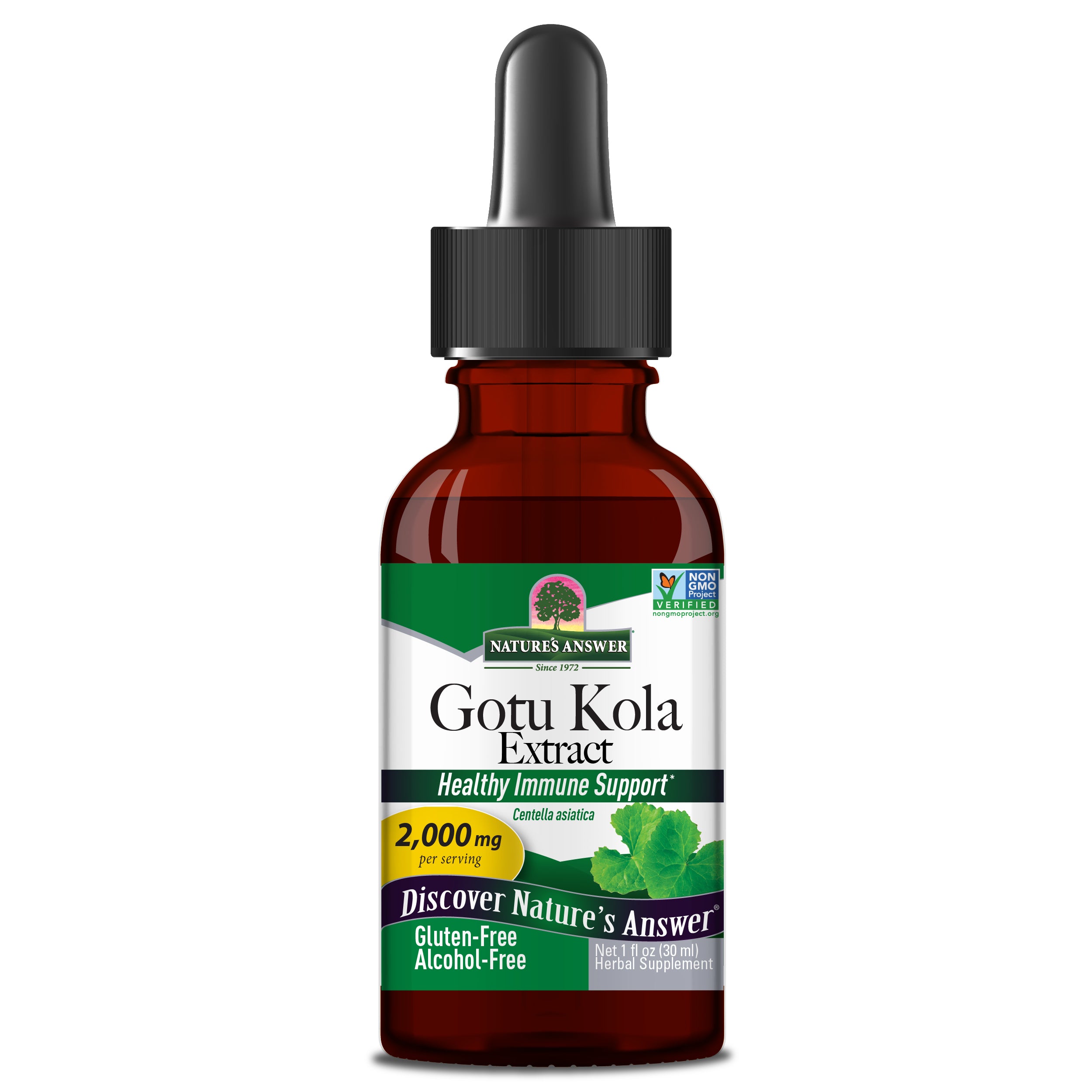 Nature's Answer - Gotu Kola Herb Alcohol Free - 1 Fl Oz