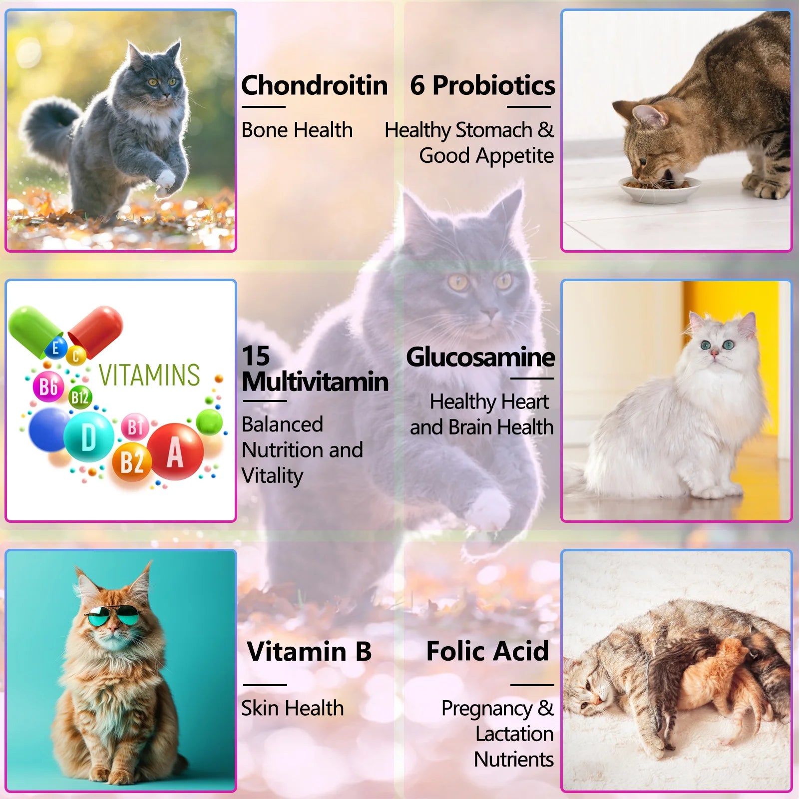 15 in 1 cat vitamins and supplements liquid drops contains only herbal ingredients active coat skin boosting immunity joints hip