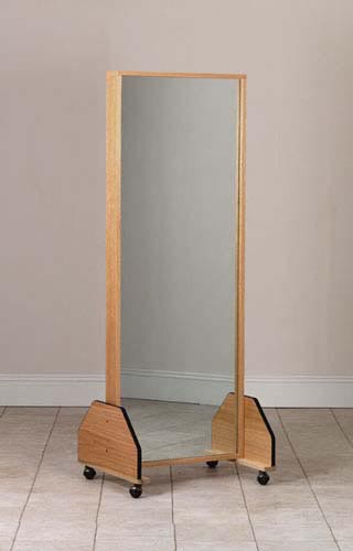Portable Adult Single Mirror With Casters 27 W X 72 H