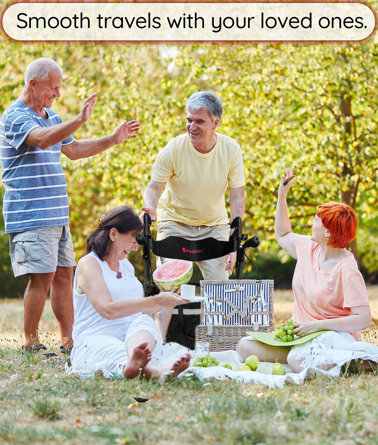 daywalker 2 in 1 rollator walker