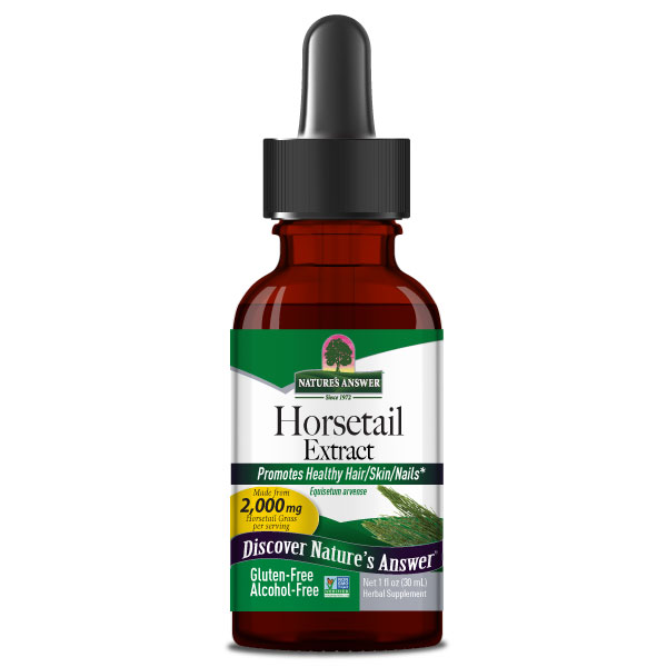Nature's Answer - Horsetail Herb Alcohol Free - 1 Fl Oz