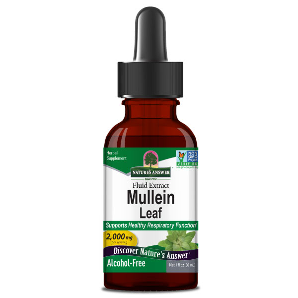 Nature's Answer - Mullein Leaf Alcohol Free - 1 Fl Oz