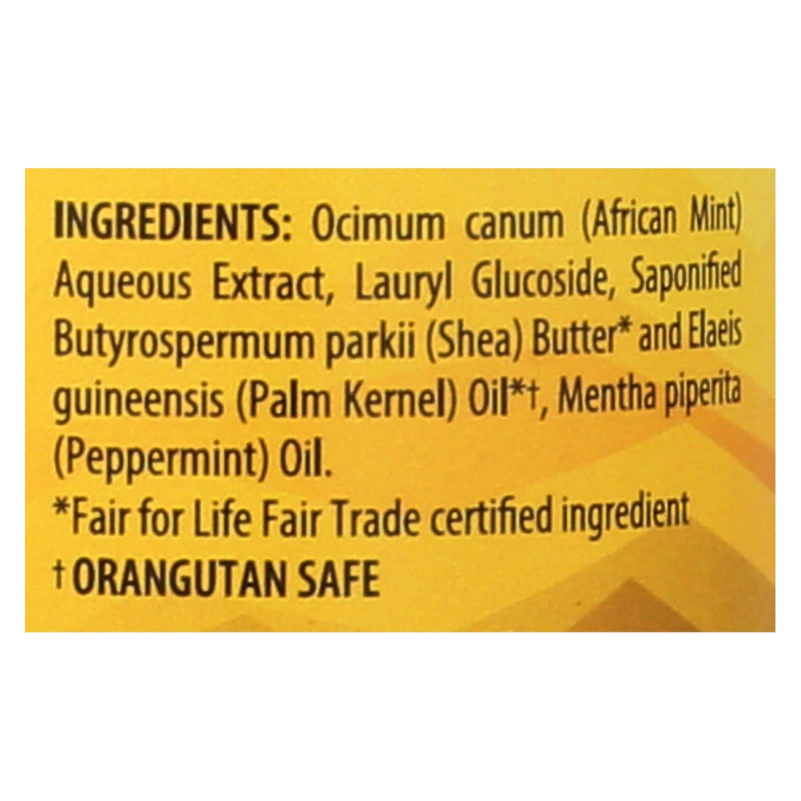 alaffia african black soap peppermint 16 fl oz