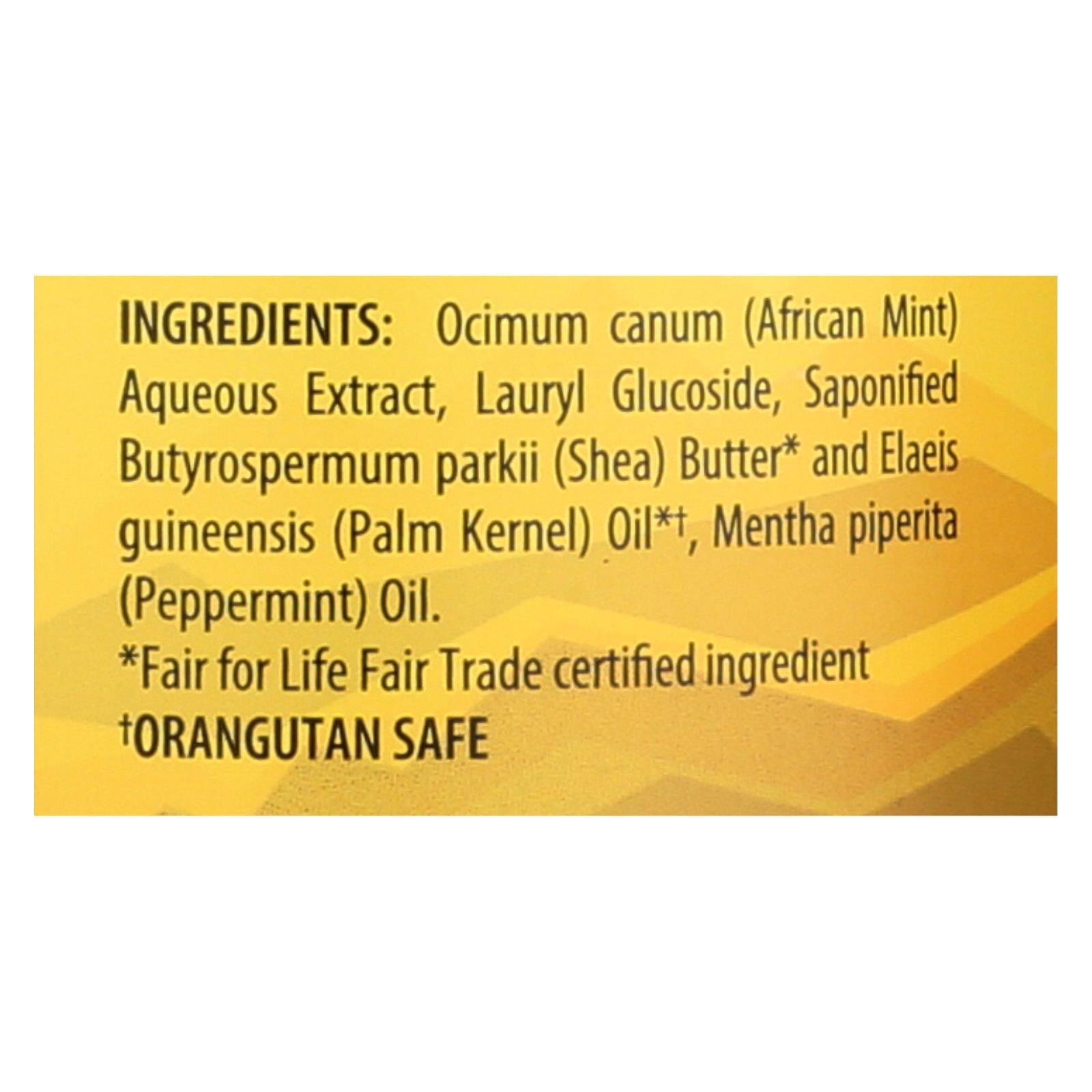 alaffia african black soap peppermint 32 fl oz