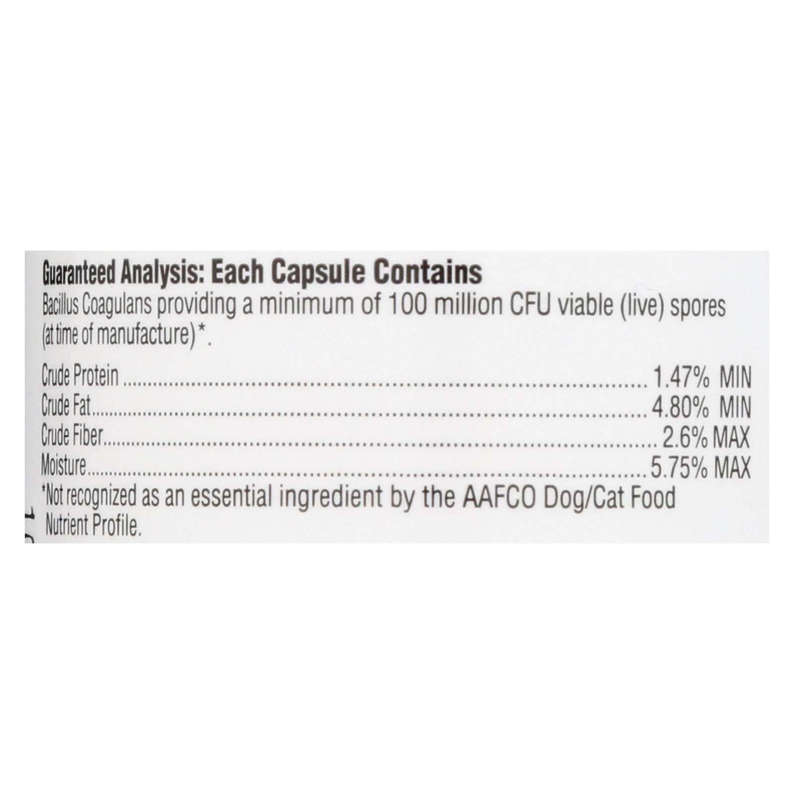 ark naturals gentle digest for dogs and cats 60 capsules