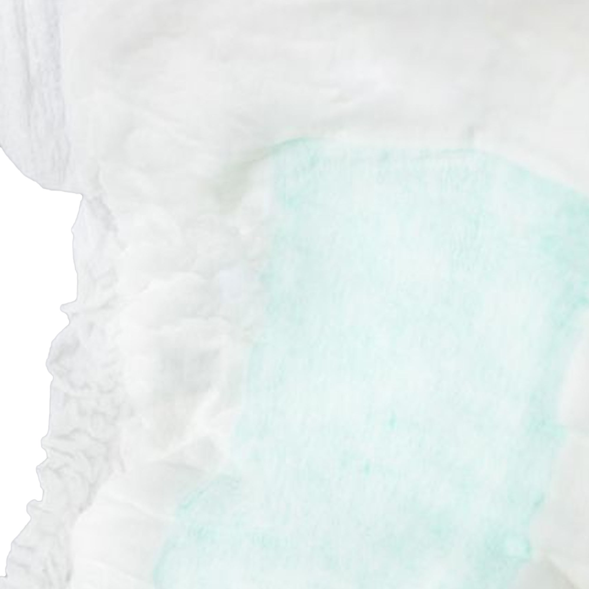 bladder control pad totaldry 13 3 4 inch length moderate absorbency polymer core regular packaging type case