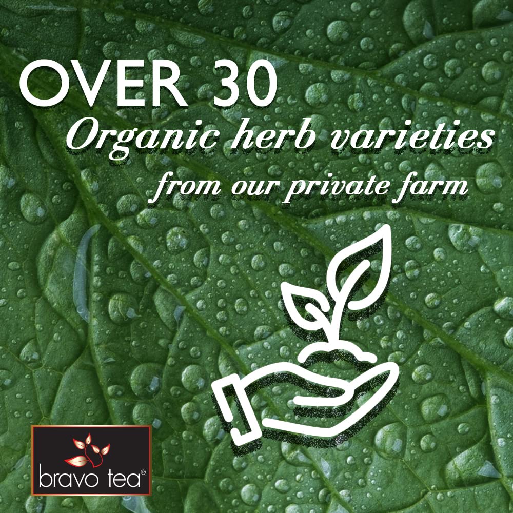 bravo teas and herbs tea daily immunity 20 bag