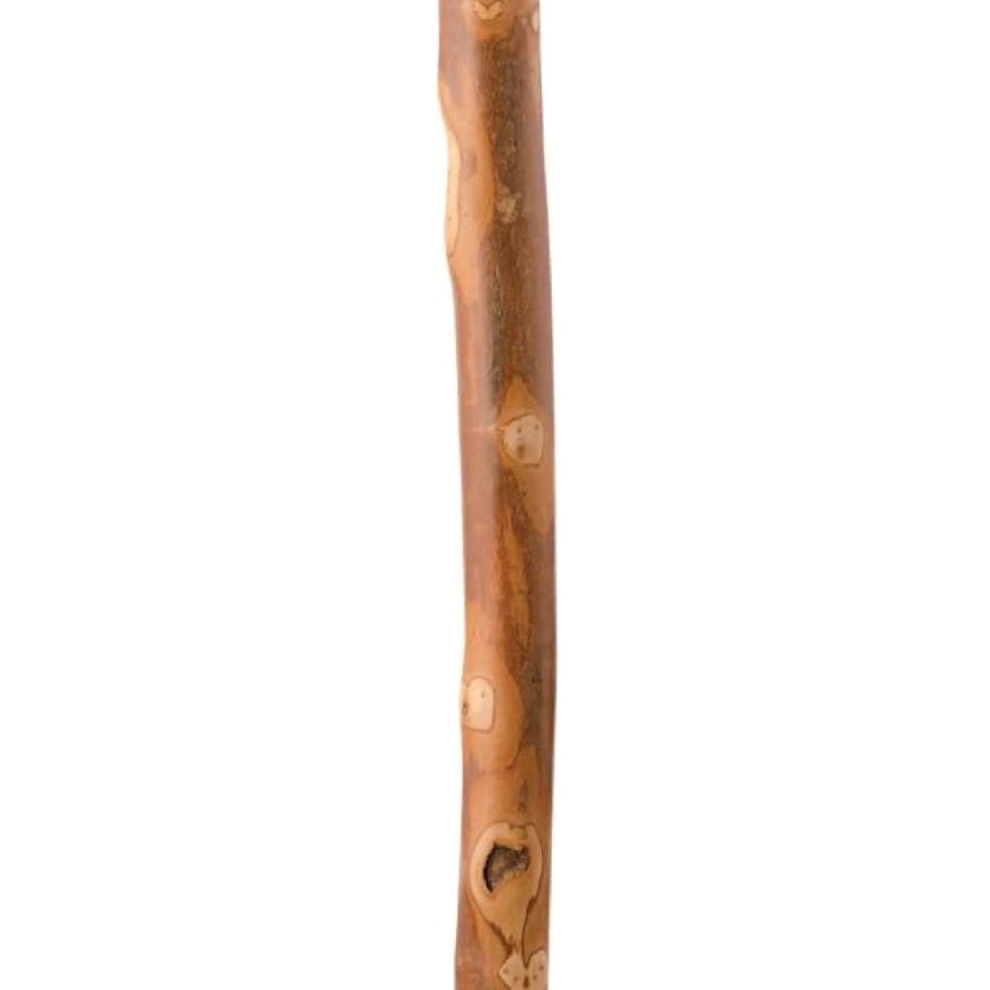 brazos sapling american hardwood free form walking stick with compass 55 inch height brown brazos walking stick mk1229025ea