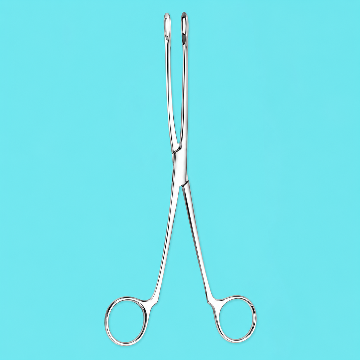 Sponge Forceps Straight Serrated 9 1/2