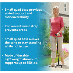 carex small base quad cane