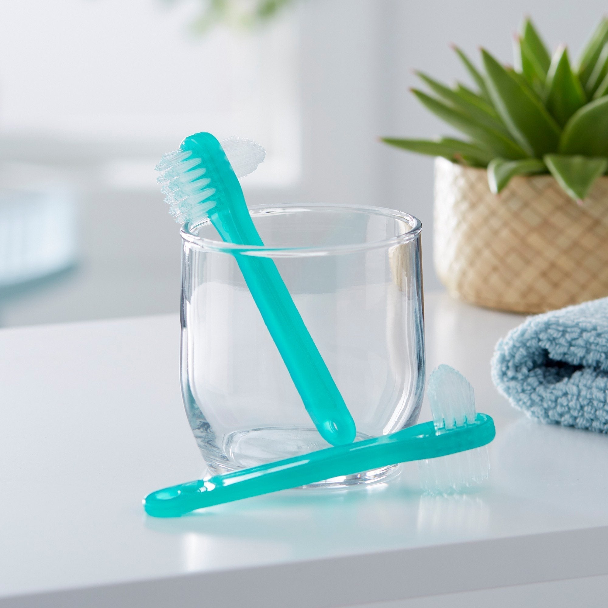 denture brush mckesson 2 sided bristle green packaging type box