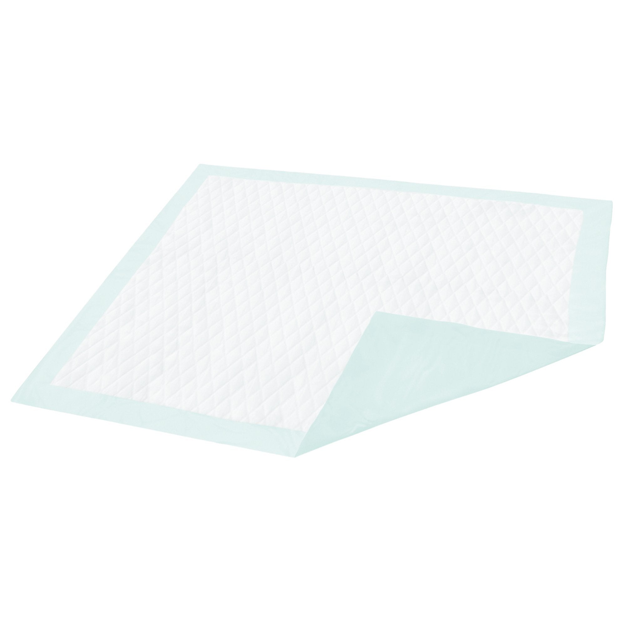 Disposable Underpad Dignity 23 X 36 Inch Fluff Light Absorbency