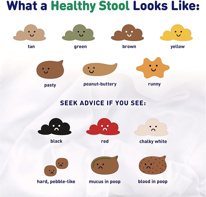 enfamil reguline powder infant formula 12 4 ounce canister enfamil reguline infant formula mk988752ea