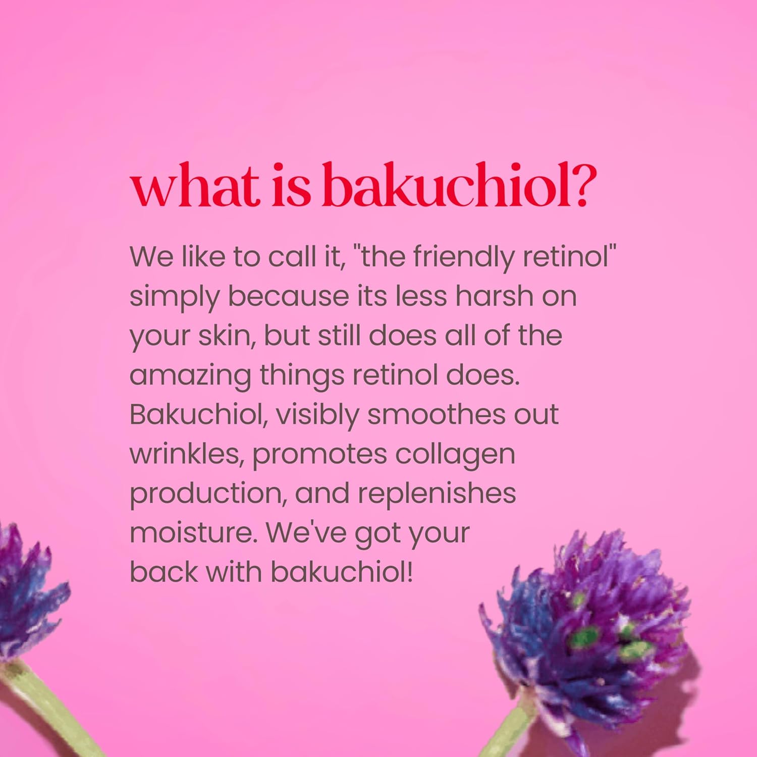 facial moisturizer burts bees firming 1 8 oz jar scented cream