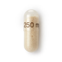digestive health probiotic