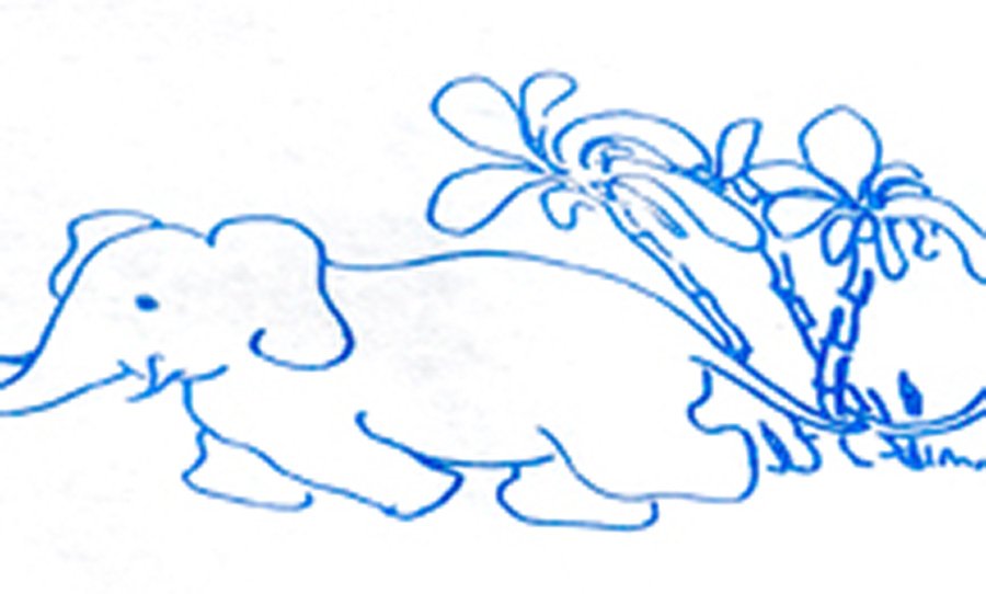 Patient Exam Gown Child Size Kid Design (Animal Parade Print) Disposable