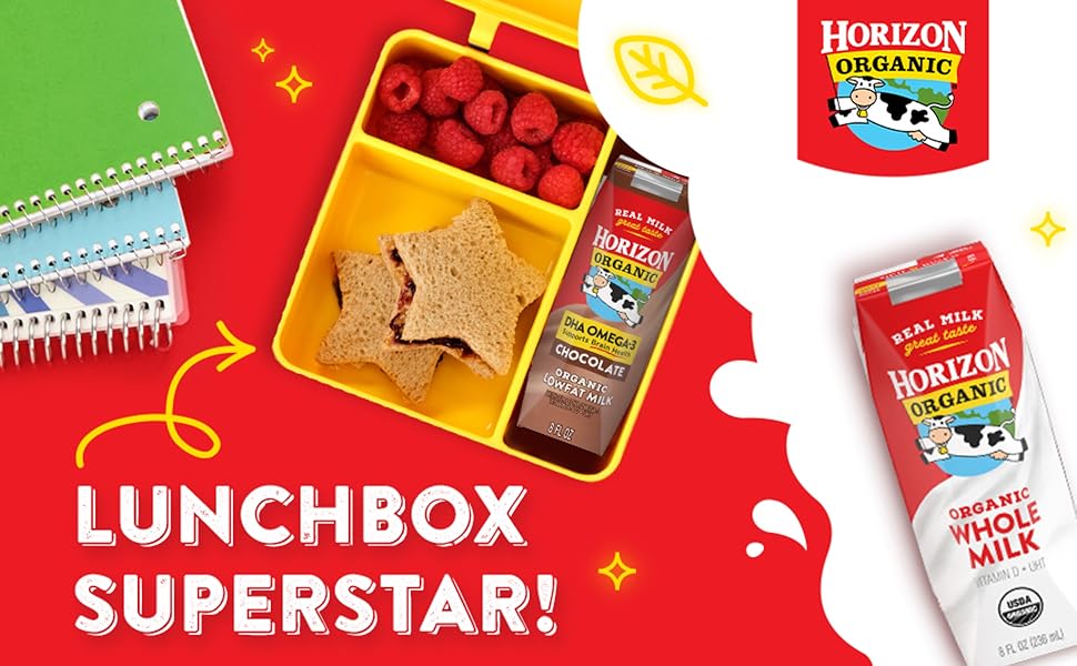 horizon organic dairy low fat milk strawberry case of 3 8 fl oz