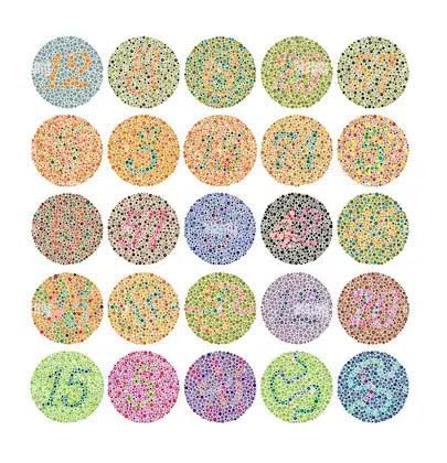 ishihara 38 plate chart book for color blindness