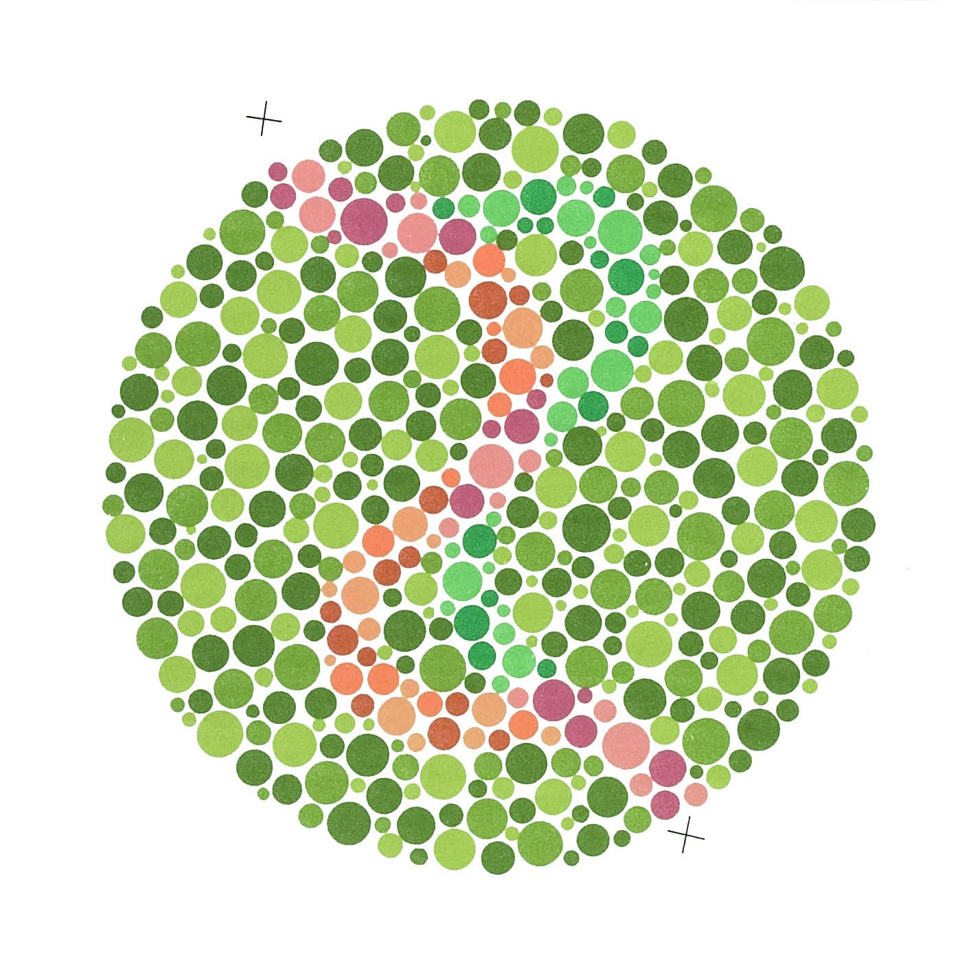 ishihara 38 plate chart book for color blindness