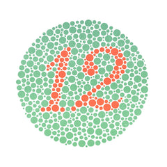 ishihara 38 plate chart book for color blindness