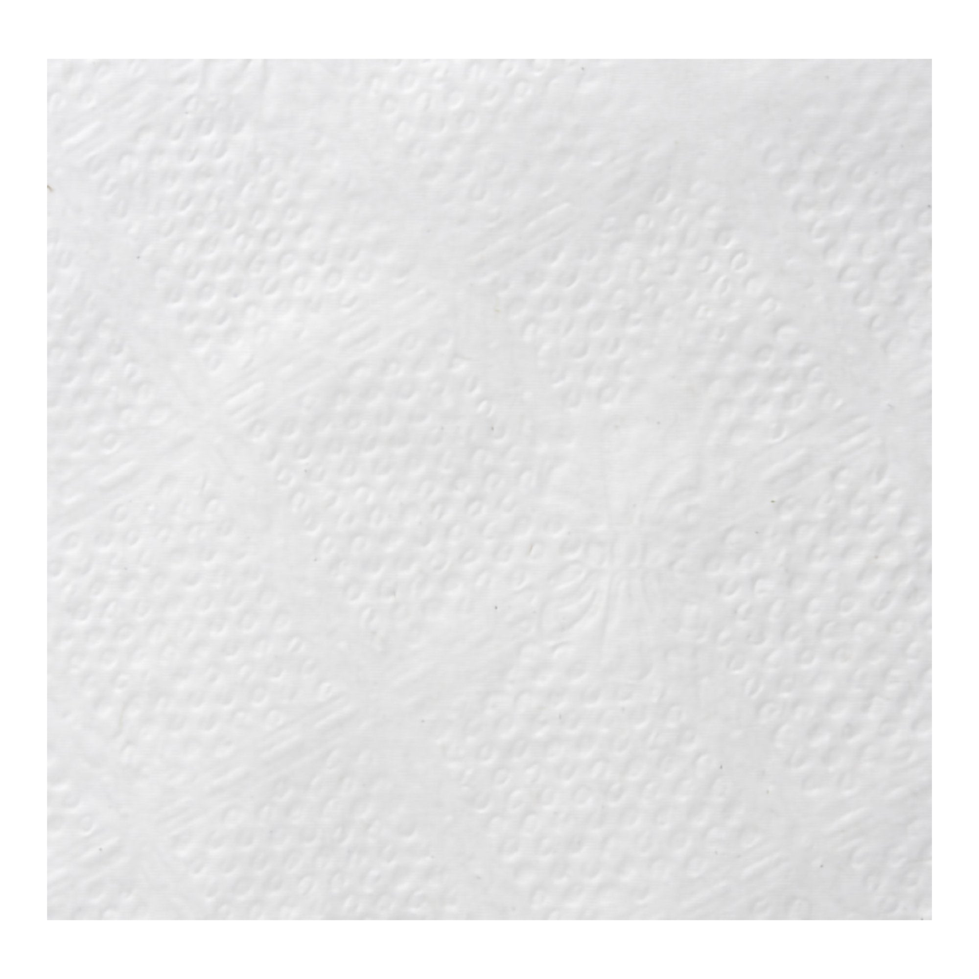 Luncheon Napkin Dixie White Paper