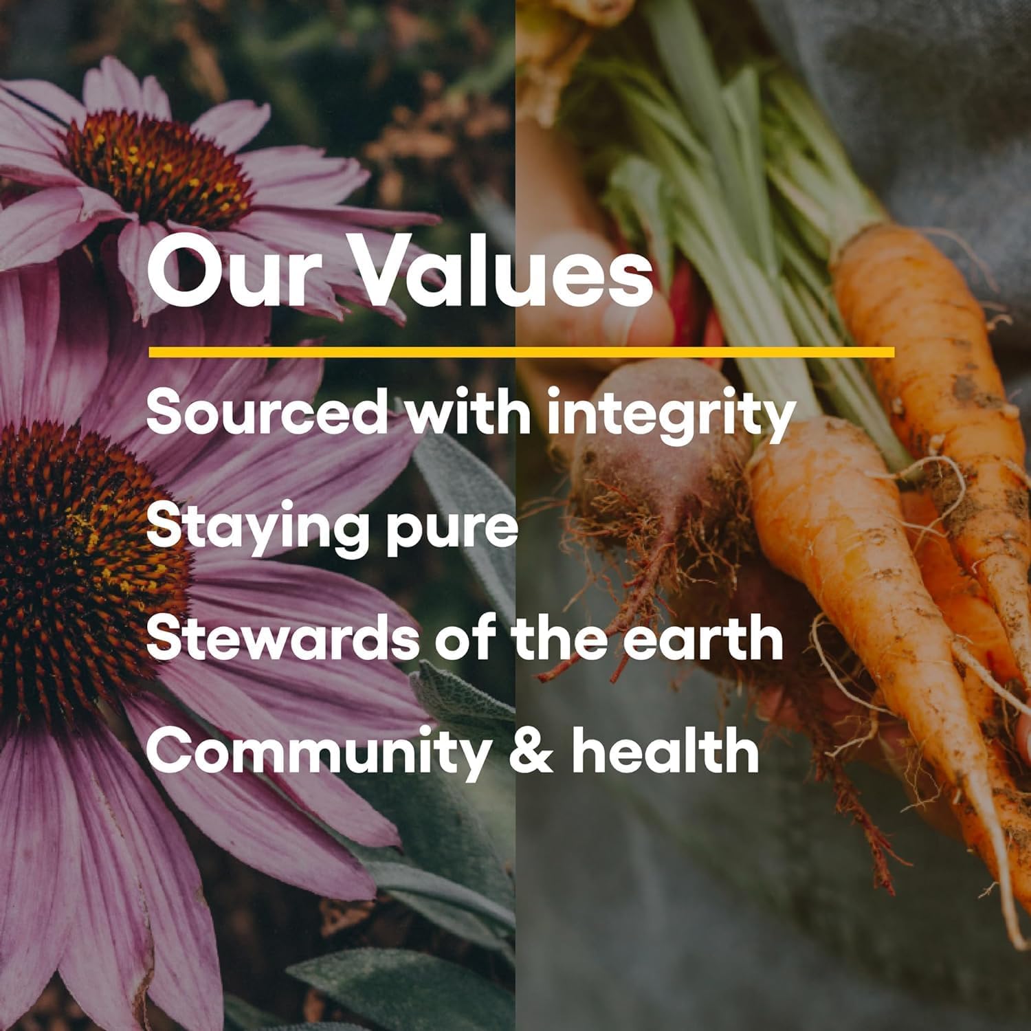 our values
