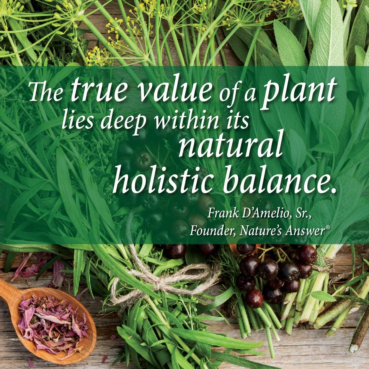 natures answer blue vervain herb 1 fl oz