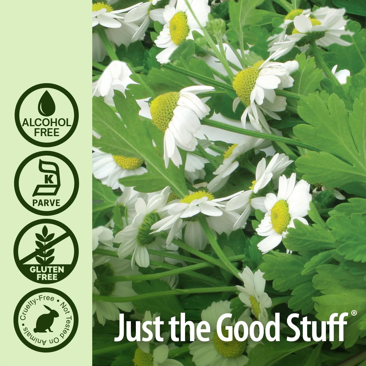 natures answer feverfew leaf alcohol free 1 fl oz