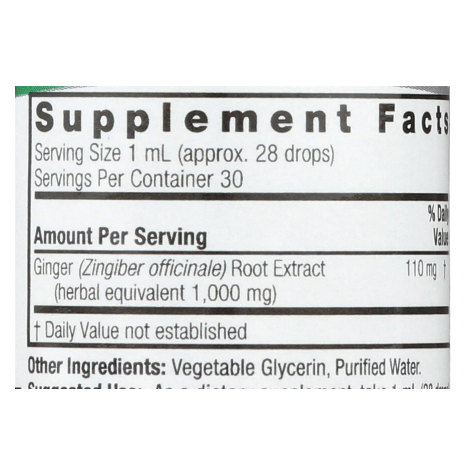 natures answer ginger root alcohol free 1 fl oz