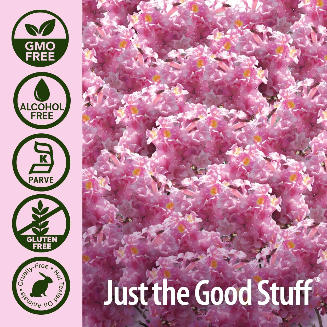 natures answer pau darco inner bark alcohol free 1 fl oz