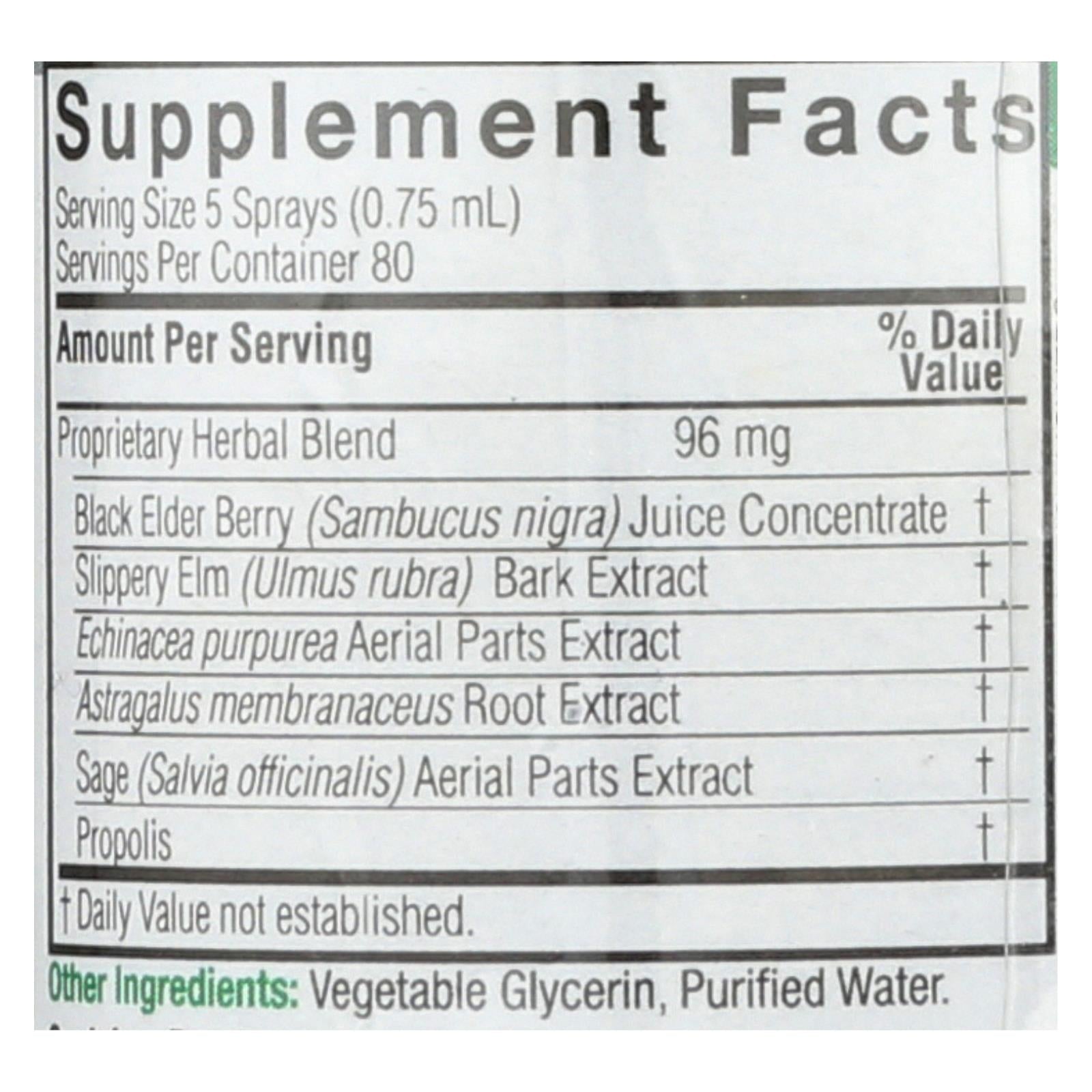 natures answer sambucus nigra black elder berry extract spray 2 fl oz