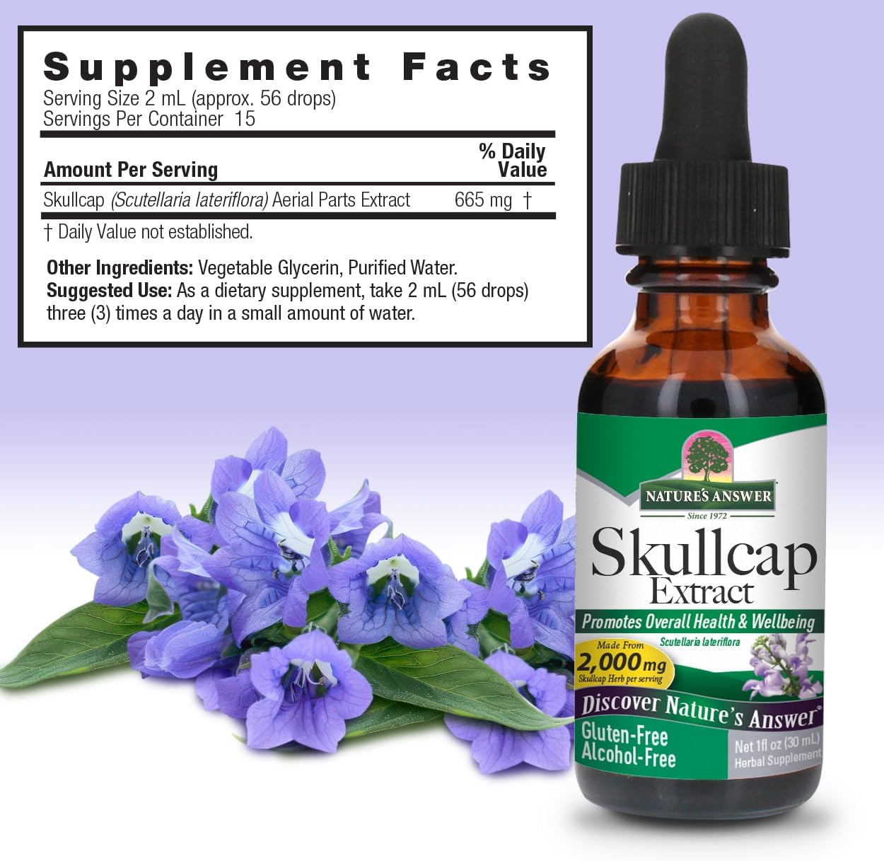 natures answer skullcap herb alcohol free 1 fl oz