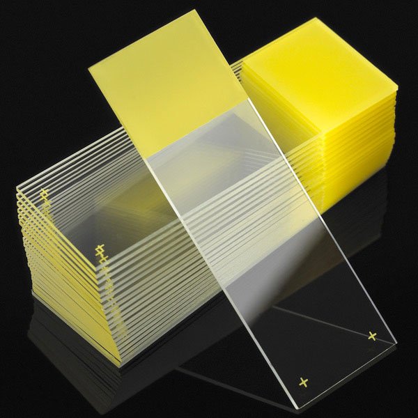 Charged Microscope Slide Diamond White Glass 25 X 75 X 1 mm Yellow Frosted End