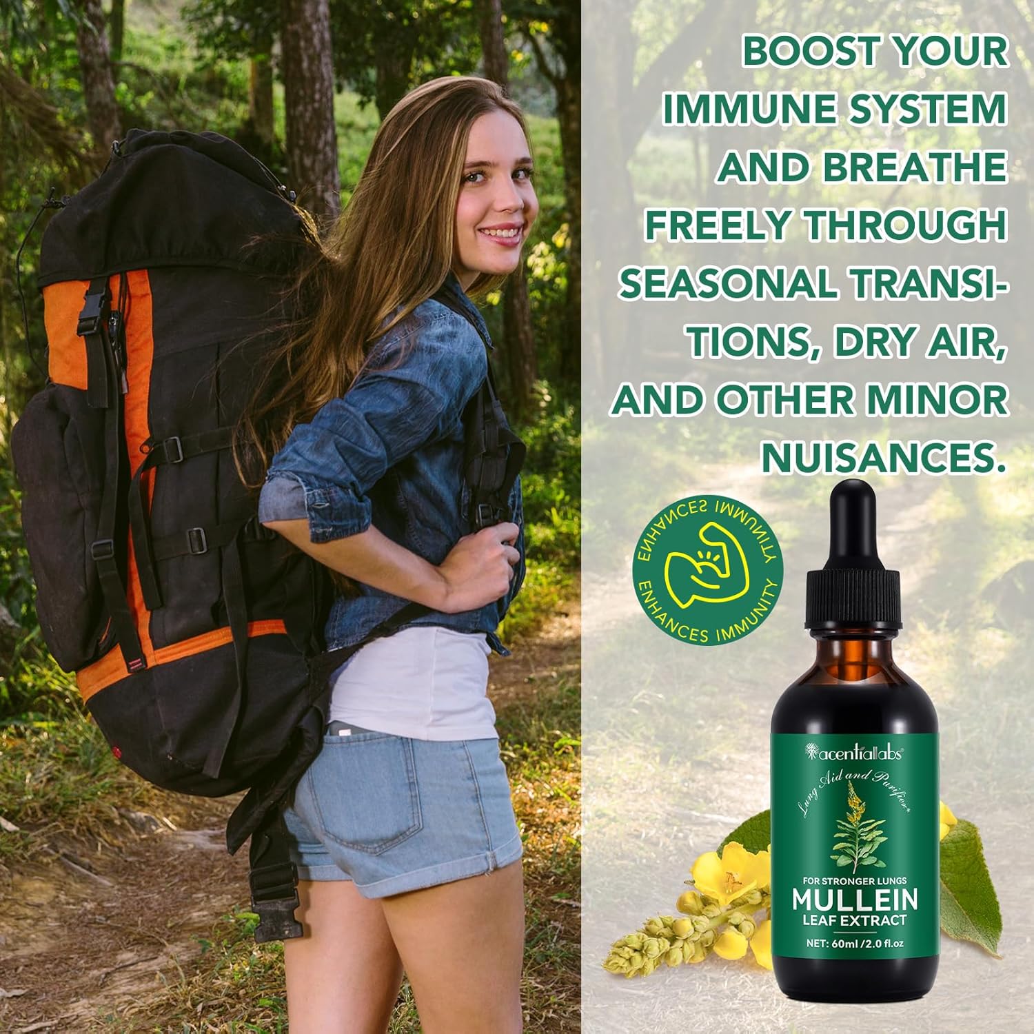 organic mullein leaf tincture no additives mullein extract drops 2 fl oz 60ml