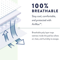 prevail overnight pull on heavy absorbent underwear for adults