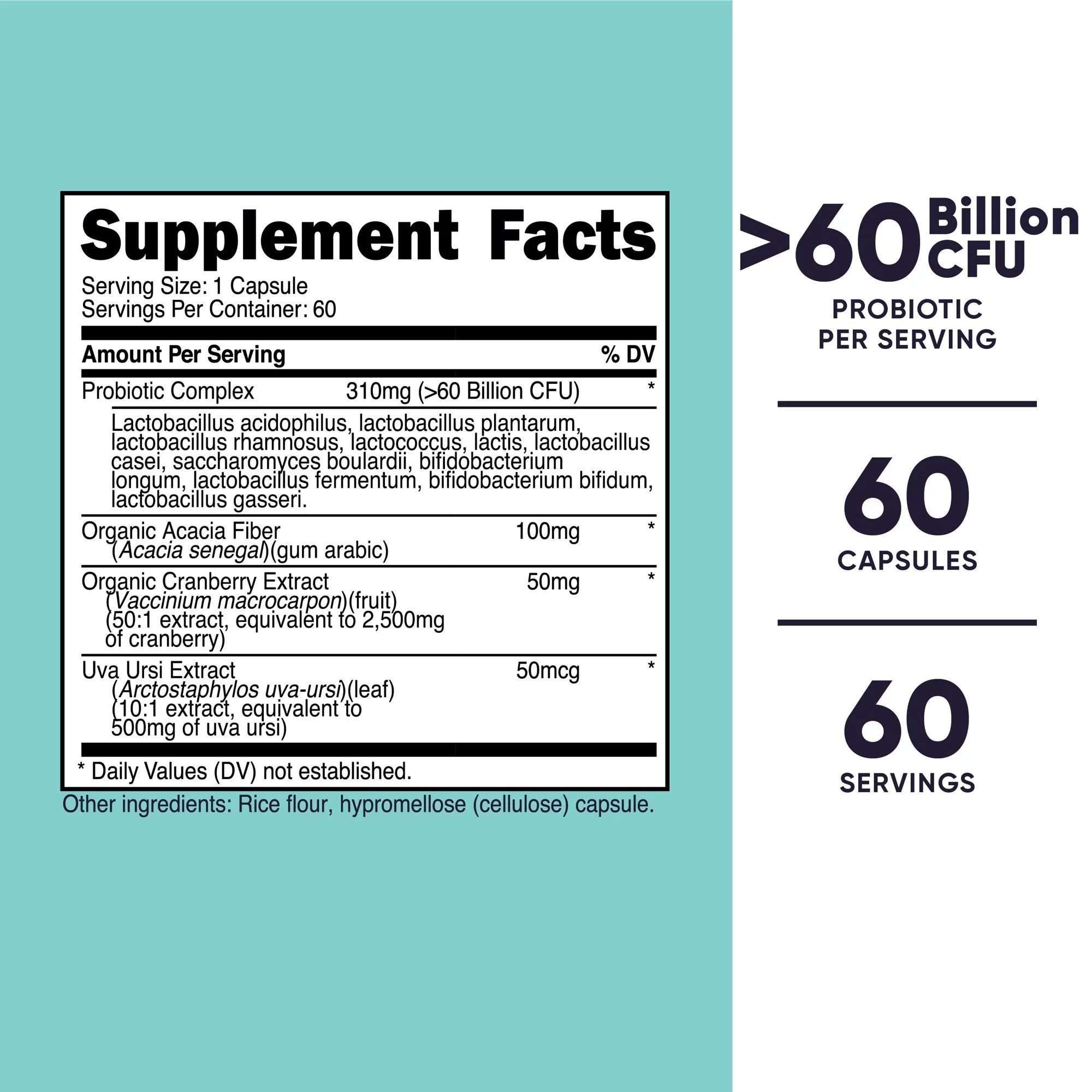 Probiotic for Women 60 Billion CFU, 60 Capsules Probiotic Supplement