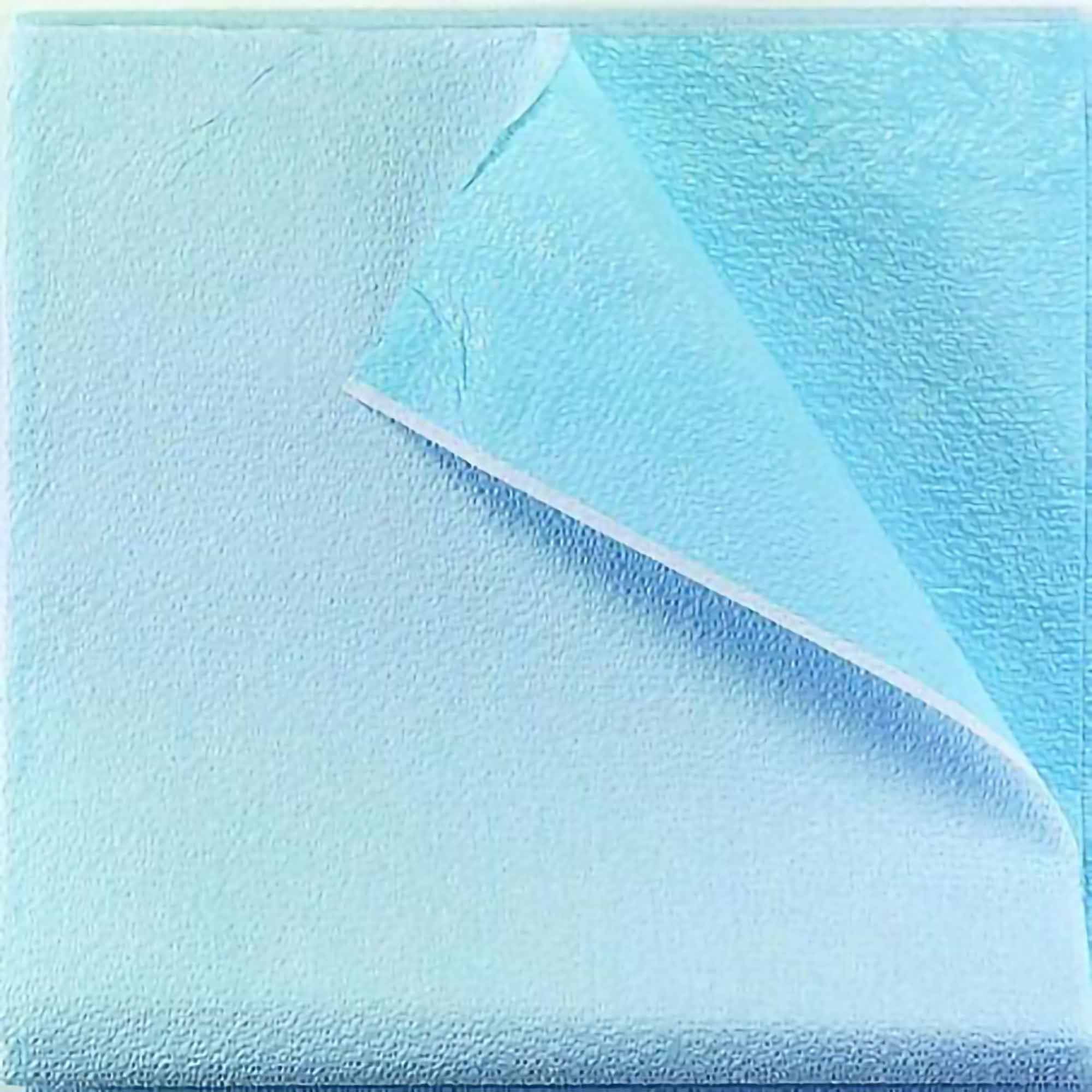 Stretcher Sheet Tidi Everyday Flat 40 X 72 Inch Blue Tissue / Polyethylene Film Disposable