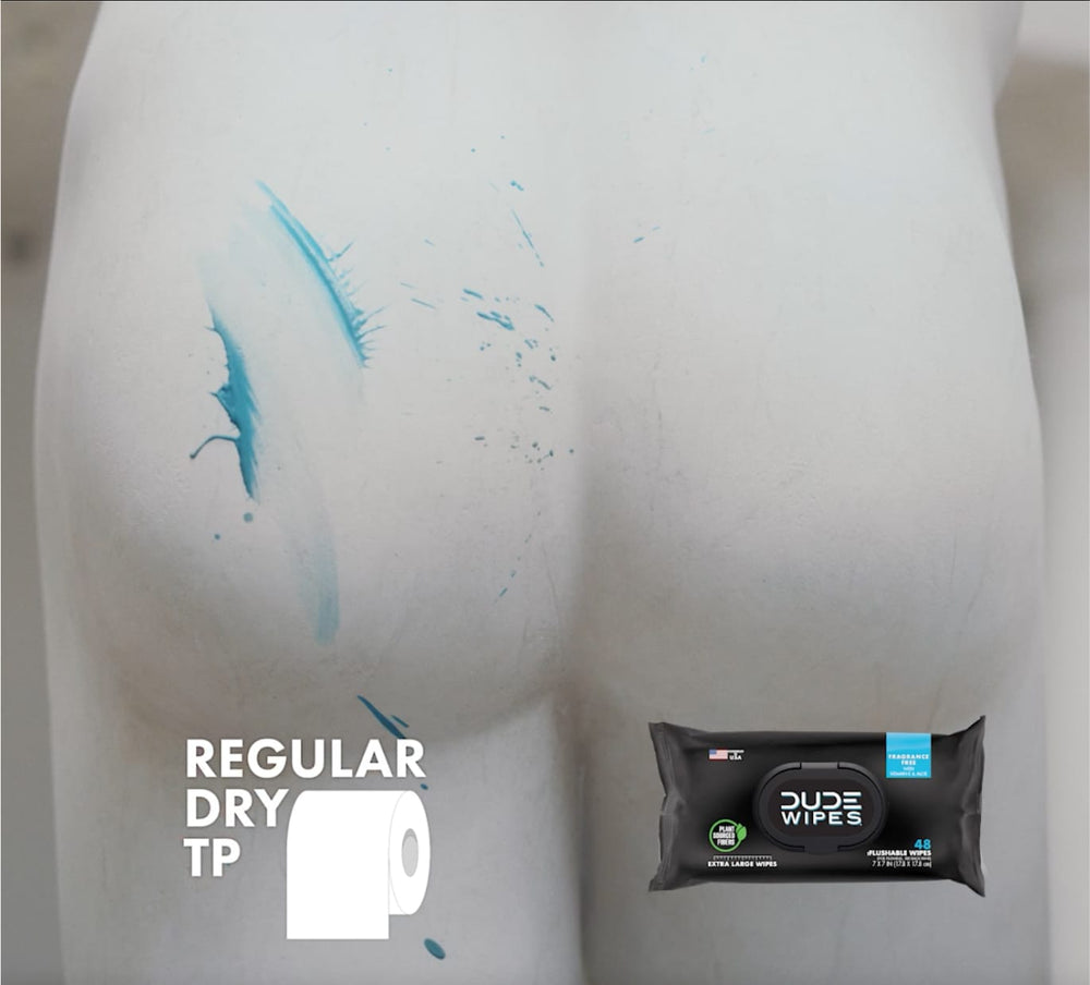 dude wipes wipes dispenser pack case of 8 48 count