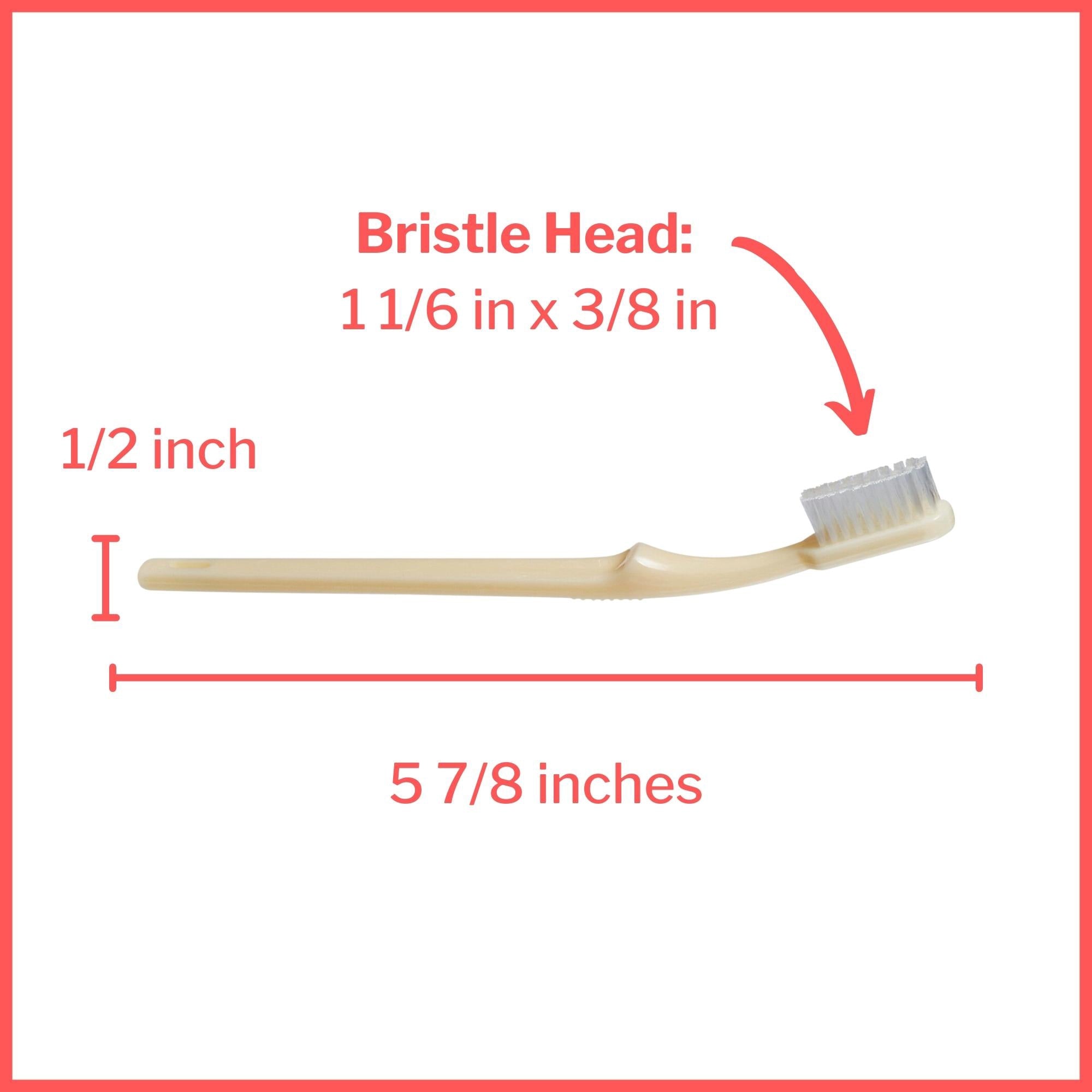 toothbrush mckesson ivory adult medium packaging type box